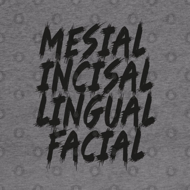 dental- Mesial Incisal Lingual Facial by kadoja